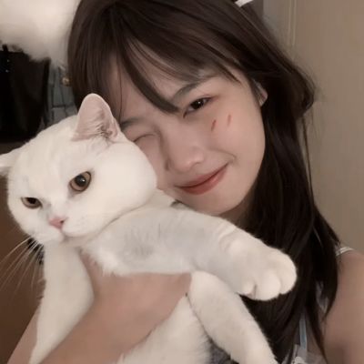电子宠物大作战网页版下载
